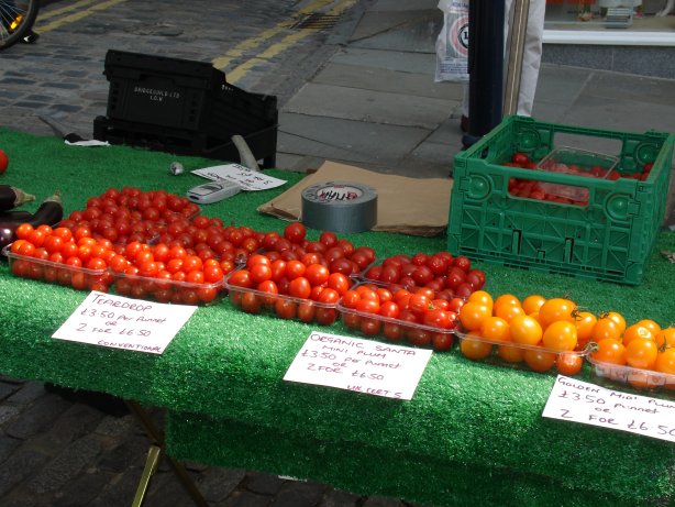 ... a wide variety of tomatoes