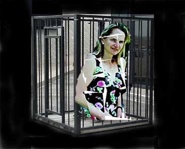 "gate-keepers" to the role of abnormality