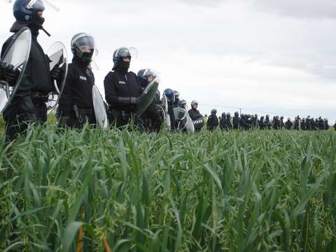 Flattening the field of oats