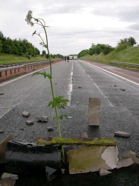 Blockade of the M9 motorway