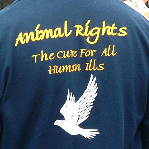 Animal rights - the cure for all human ills