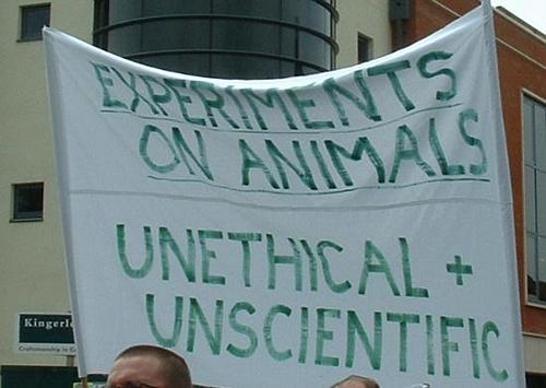 Experiments on animals, unethical and unscientific