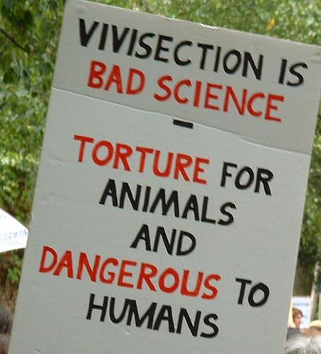 Vivisection is bad science - torture for animals and dangerous to humans