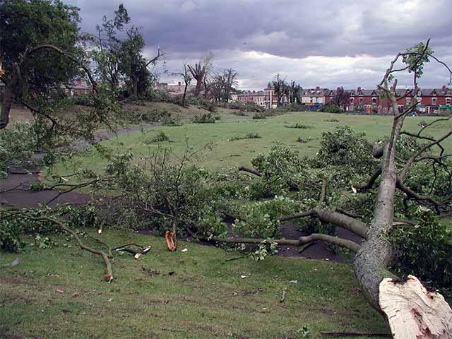 damage to Balsall Heath park