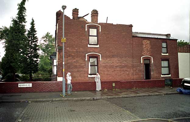 Tree across Grantham Rd, Sparkbrook(1)