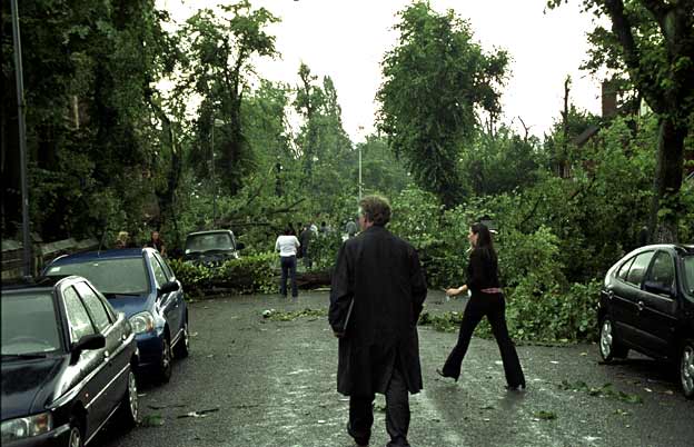 Tree across Grantham Rd, Sparkbrook(2)