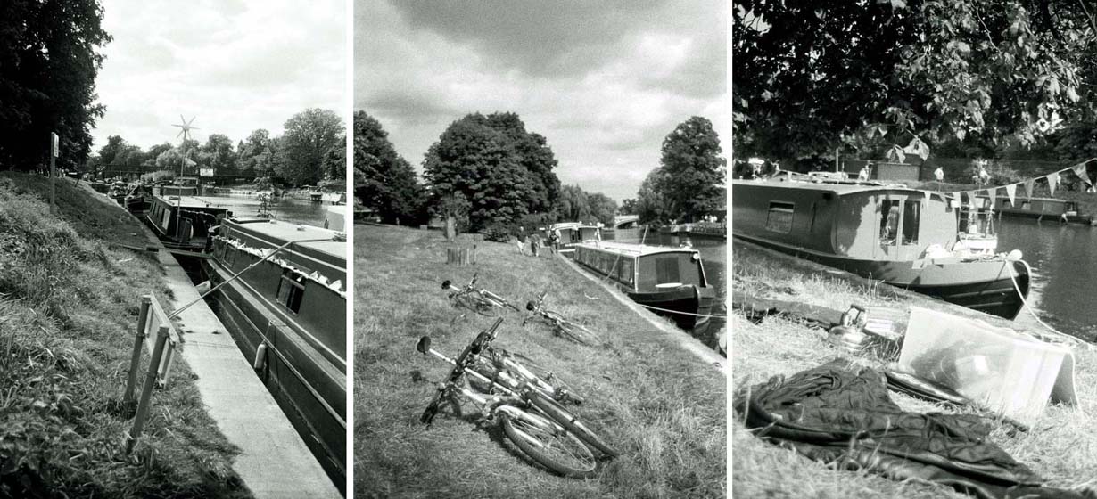 What more could you ask for?