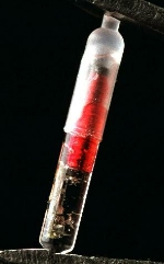 Folks lining up just to get down!