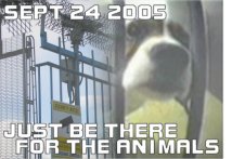 There's No Excuse for Animal Abuse!