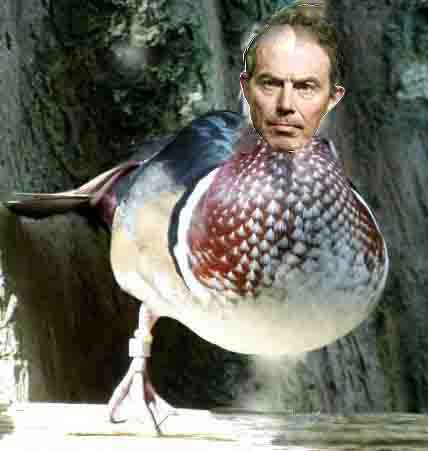 LAME DUCK BLAIR