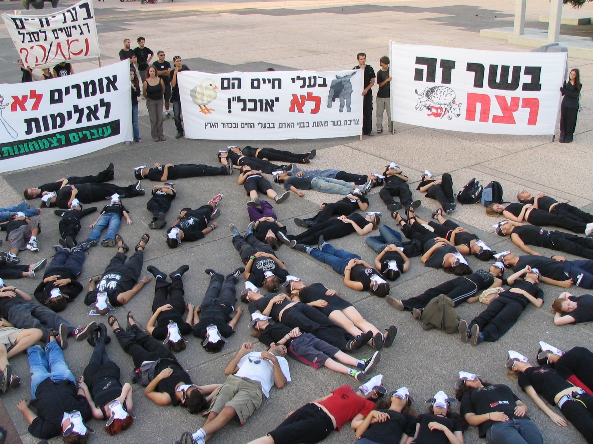 Banners and People with Cow Masks Lying Down