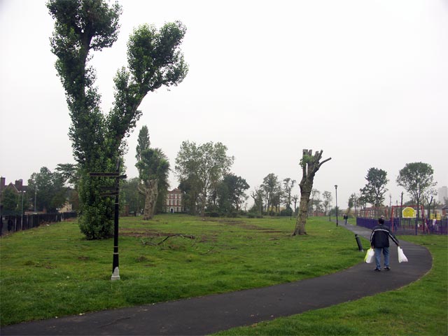 Sparkbrook's Farm Park to be replanted with trees