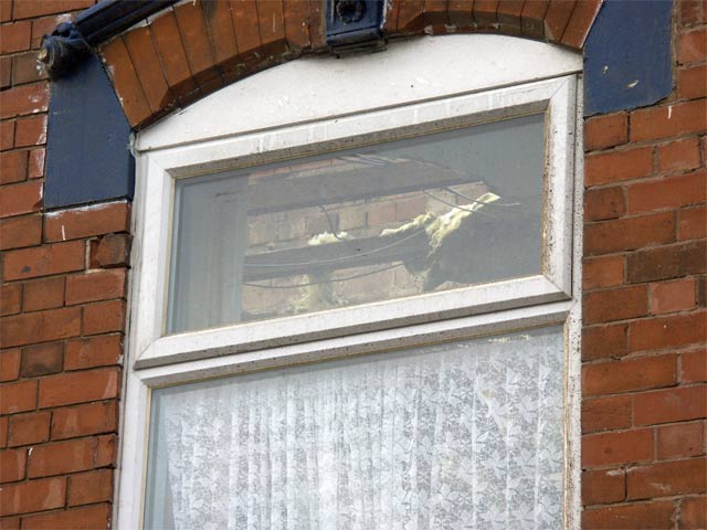 view thru window- no roof!