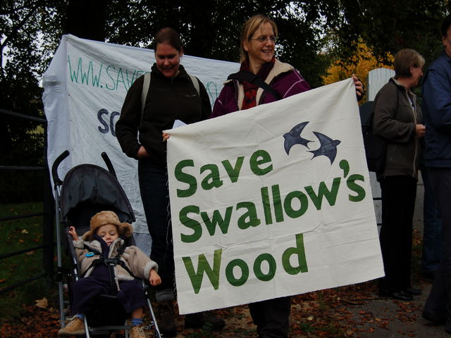 Save Slallow's Wood