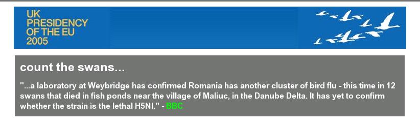 12 swans - count em!
