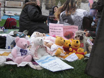 Federation of Teddy Protesters assemble