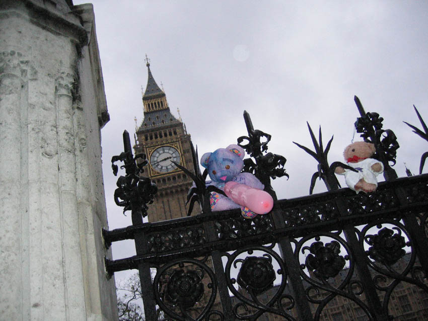 Teddies storm parliament