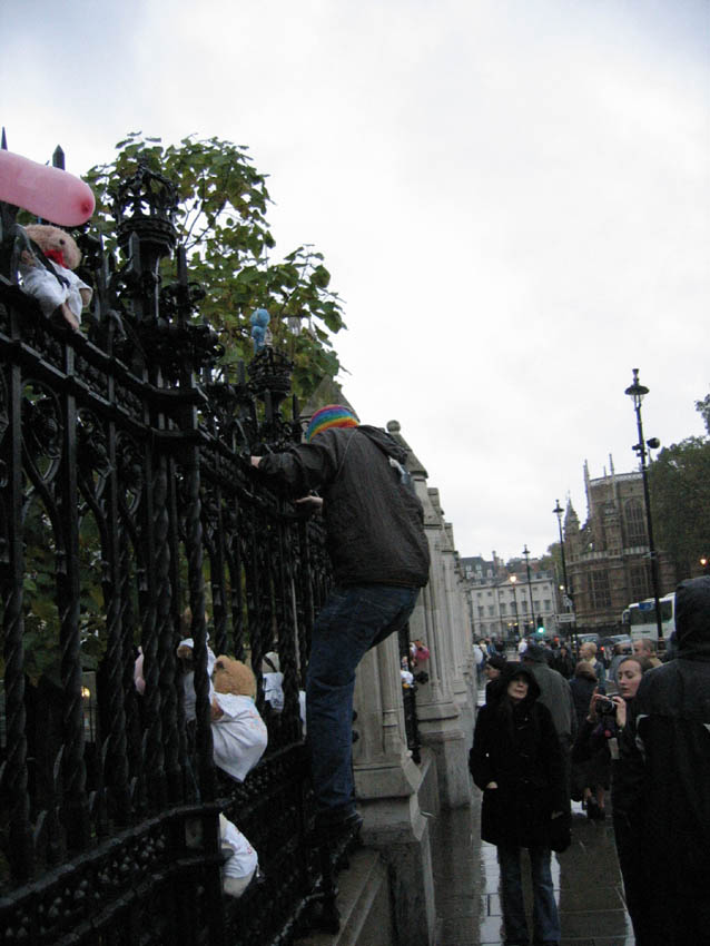 Teddies inspire the furless ones to storm parliament too
