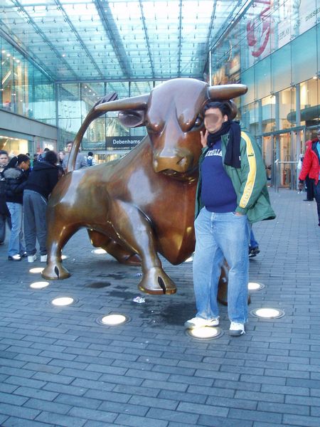 Front of the Bull (sans turd)