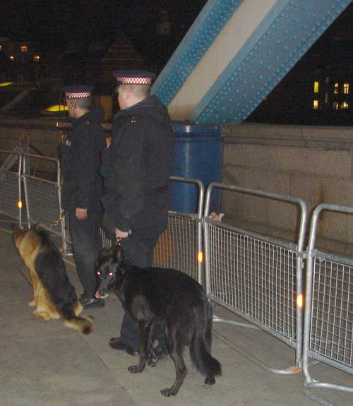 cops with dogs
