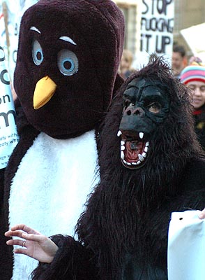 Penguins & Mountain Gorrillas united in struggle.