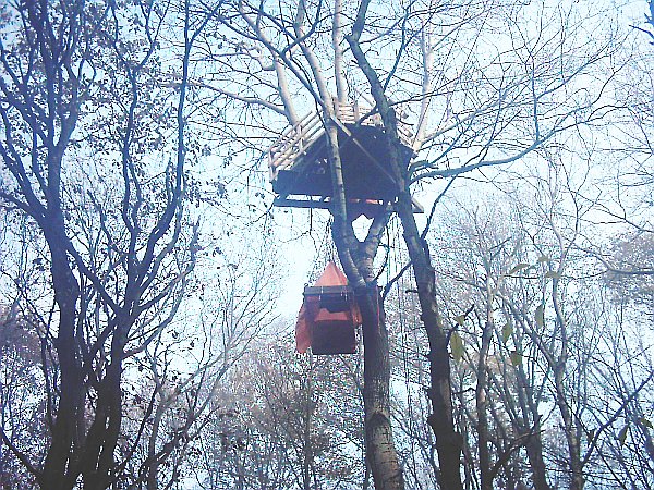 Treehouse at Schinveld forest