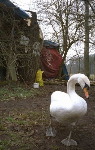 Og on patrol outside the great hall at Camelot camp