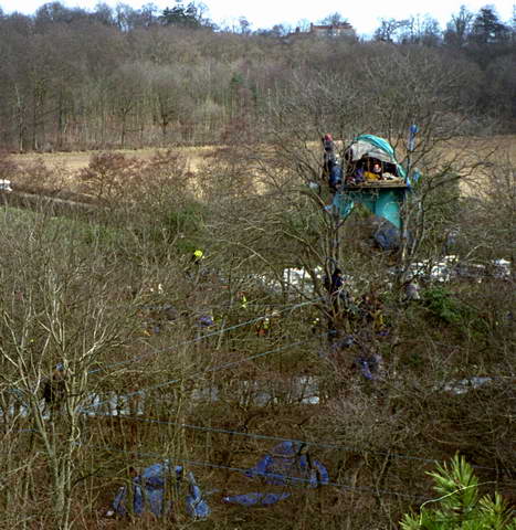 rainy view - my lovely tree house