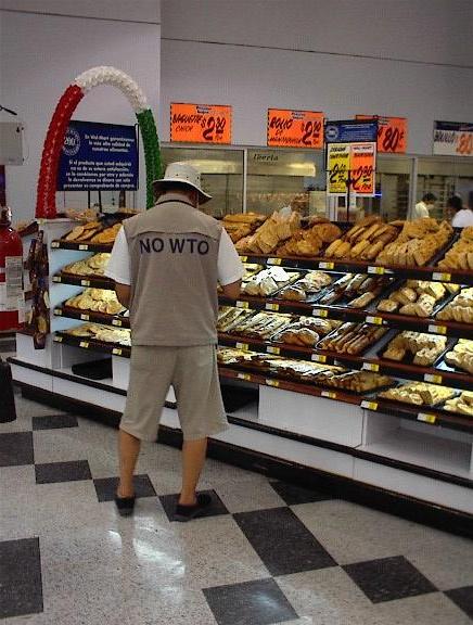 Delegation from Korean Farmer's League at WTO Globalization Protest