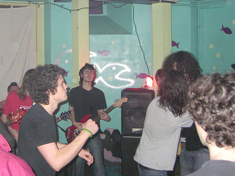 Moshing in the fish tank