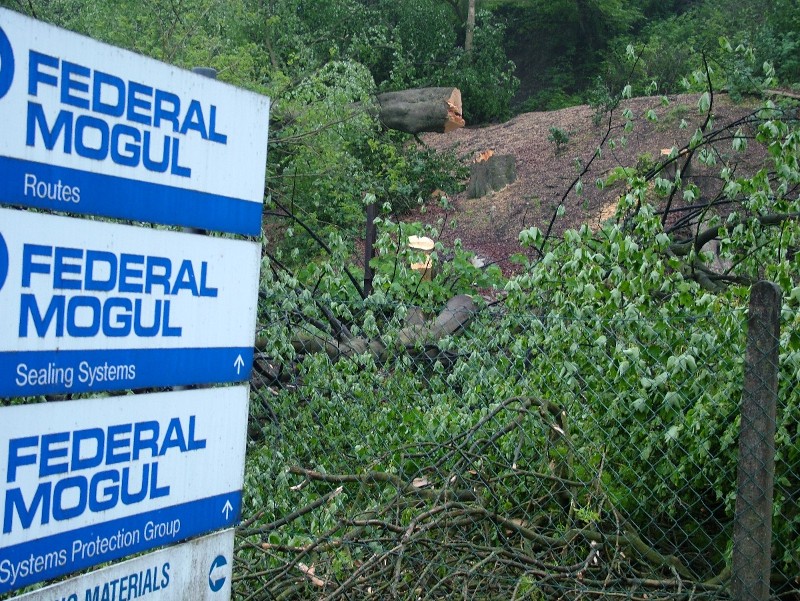 Property developers axe Federal Mogul's trees... are manufacturing jobs next?