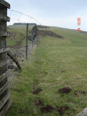 6-foot tall Deer Fencing cut