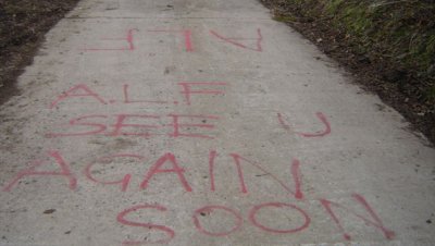 ALF Claiming the Action