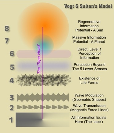 Vogt and Sultan' s Theory