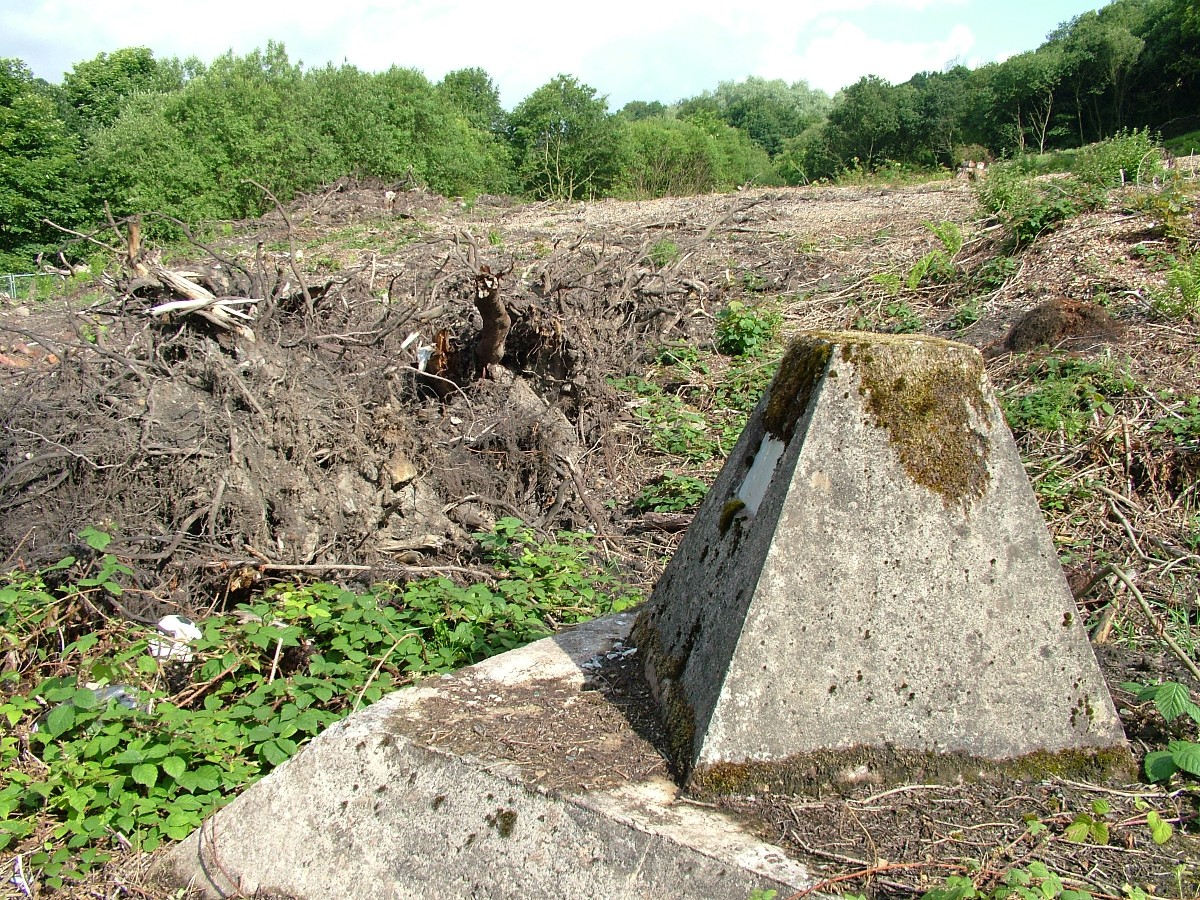 Destroyed Spodden Valley woodland where Countryside Properties wanted to build