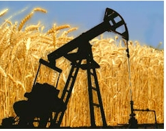 The UN “oil-for-food” program