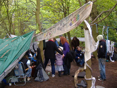 the woodland camp