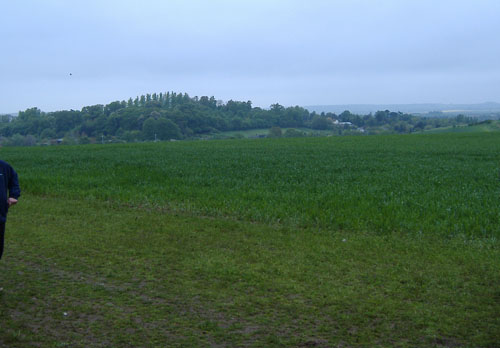 another view out from the woods