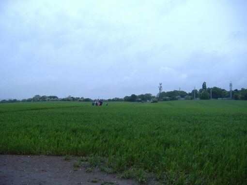 where are the protestors?