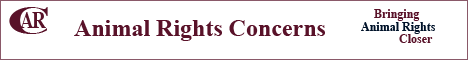 Animal Rights Concerns