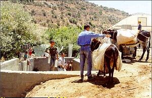 Deliberately cuts off our water