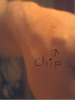 The chips is there see