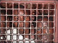 Kenyan prisoners