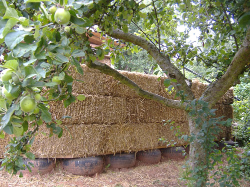 the apple trees view