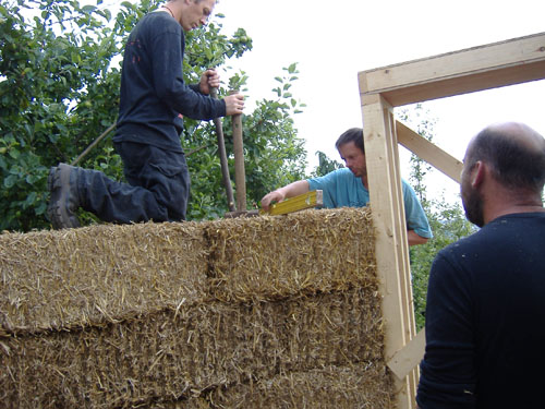 staking and level checking