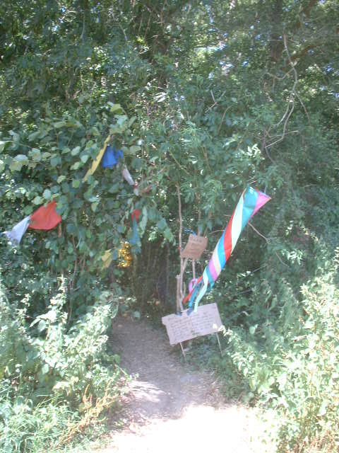 the entrance to the campsite