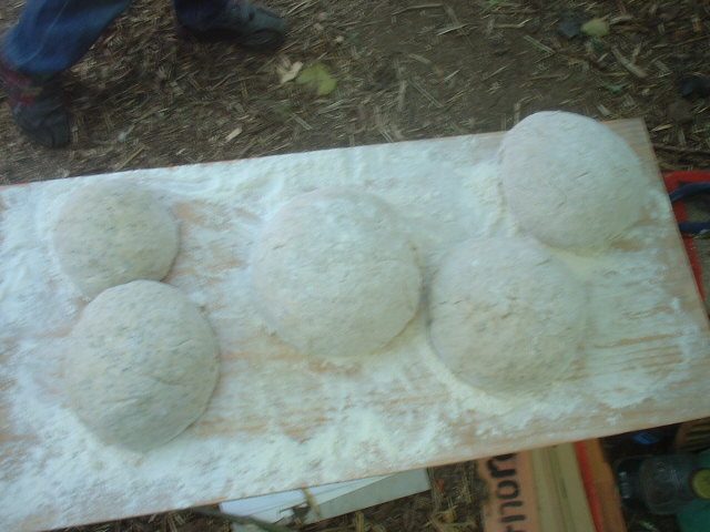 the loaves waiting to be cooked