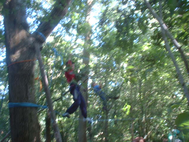 kids dart through the trees as they learn to use walkways