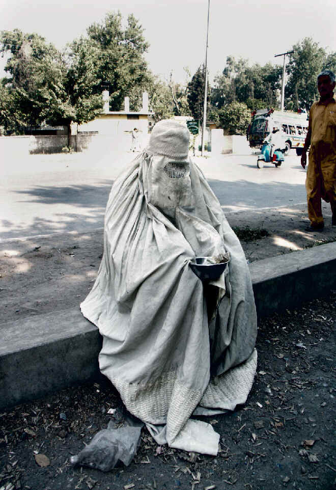 photo by Shayne Kavanagh