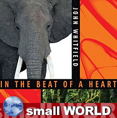 In The Beat Of A Heart